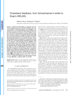 Cholesterol feedback: from Schoenheimerʼs