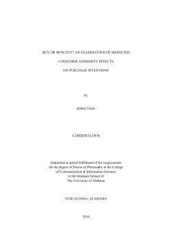 BUY OR BOYCOTT? AN EXAMINATION OF MEDIATED