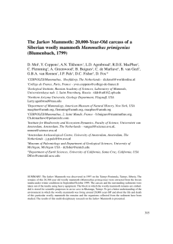 The Jarkov Mammoth - Museo Napoleonico