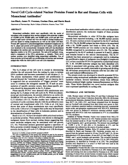 Novel Cell Cycle-related Nuclear Proteins Found in Rat and Human