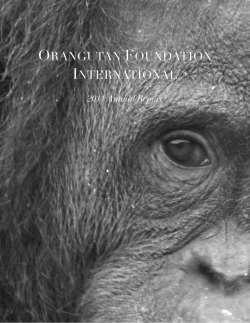 2011 Annual Report - Orangutan Foundation International