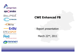 CWE Flow-Based Feasability Report (Presentation)