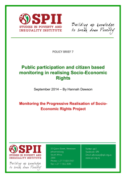 Policy Brief 7 &ndash; Public participation and citizen