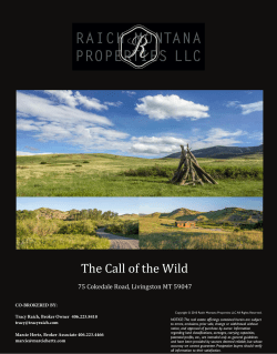 The Call of the Wild - Raich Montana Properties, LLC