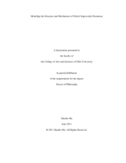 Modeling the Structure and Mechanism of Nickel Superoxide