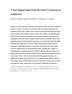 A four-legged snake from the Early Cretaceous of Gondwana