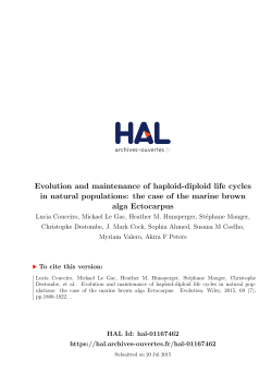 Evolution and maintenance of haploid-diploid life cycles in