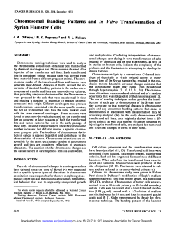 Chromosomal Banding Patterns and in Vitro
