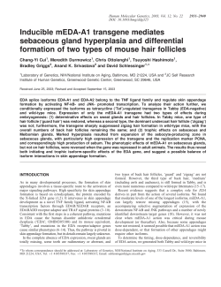 Inducible mEDA-A1 transgene mediates sebaceous gland