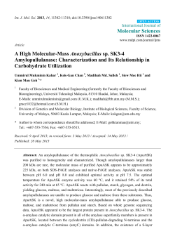 A High Molecular-Mass Anoxybacillus sp. SK3