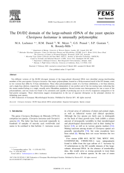 The D1/D2 domain of the large-subunit rDNA of the yeast species