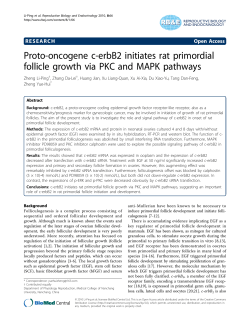 Proto-oncogene c-erbB2 initiates rat primordial follicle growth via