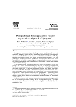 Does prolonged flooding prevent or enhance regeneration