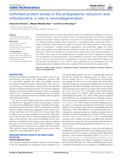 Unfolded protein stress in the endoplasmic reticulum and