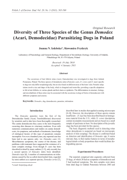 Diversity of Three Species of the Genus Demodex (Acari
