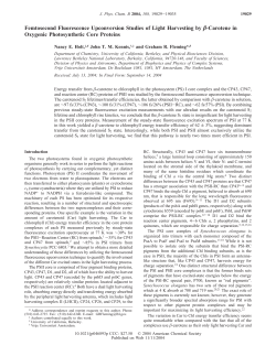 Femtosecond Fluorescence Upconversion Studies of Light