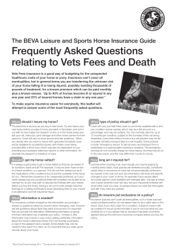 BEVA Leisure and Sports Horse Insurance Guide