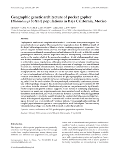 Alvarez-Casteneda and Patton, 2004