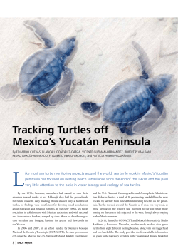 Tracking Turtles off Mexico`s Yucat&aacute;n Peninsula