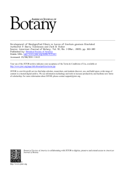 Development of Nonlignified Fibers in Leaves of
