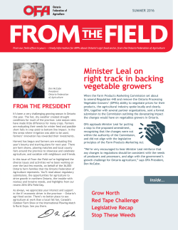 Getting behind the Red Tape Challenge - Summer 2016