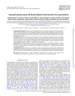 Stomatal and pavement cell density linked to leaf internal CO2