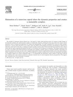 Maturation of a tetravirus capsid alters the dynamic properties and