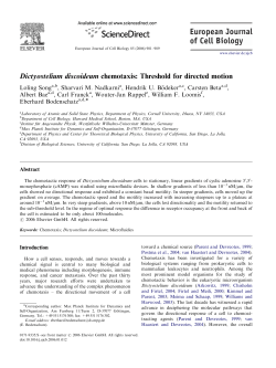 Dictyostelium discoideum chemotaxis: Threshold