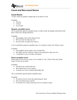 Count and Non-count Nouns - The University of Texas at Dallas