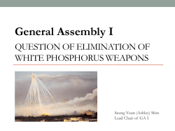 Organisation for the Prohibition of Chemical Weapons