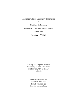 Occluded Object Geometry Estimation