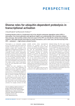 perspective - Deshaies Lab