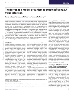 The ferret as a model organism to study influenza A virus infection