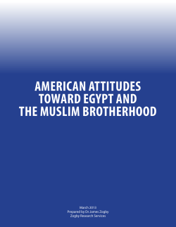 american attitudes toward egypt and the muslim brotherhood
