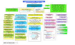 ORGANIZATIONAL STRUCTURE