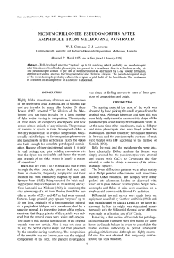 montmorillonite pseudomorphs after amphibole from melbourne