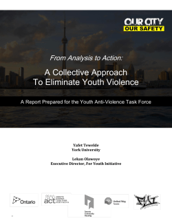 submitted a joint report to the Youth Anti-Violence