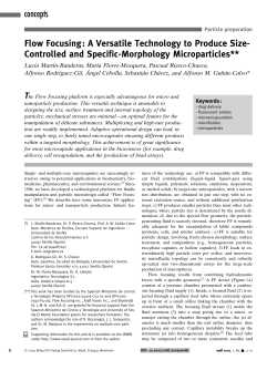 Flow Focusing: A Versatile Technology to Produce