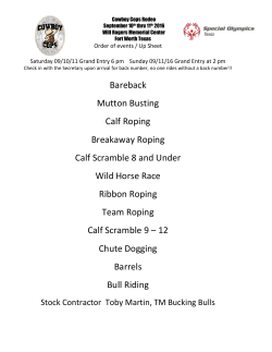 Bareback Mutton Busting Calf Roping Breakaway Roping Calf