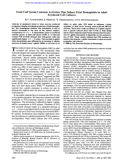 Fetal Calf Serum Contains Activities That Induce Fetal Hemoglobin