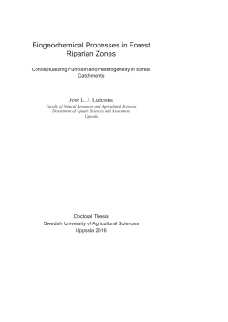 Biogeochemical Processes in Forest Riparian Zones
