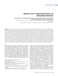 Operons Are a Conserved Feature of Nematode Genomes
