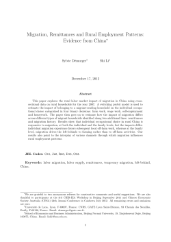 Migration, Remittances and Rural Employment Patterns