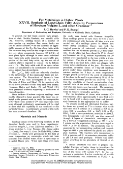 Fat Metabolism in Higher Plants XXVII. Synthesis of Long
