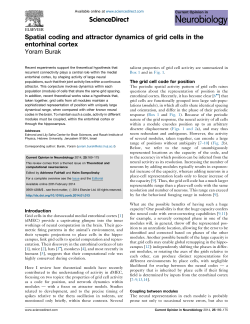Spatial coding and attractor dynamics of grid cells in the
