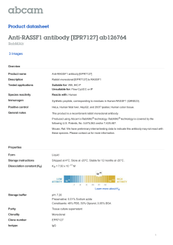 Anti-RASSF1 antibody [EPR7127]
