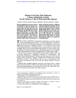 Human Cell Lines That Elaborate Colony