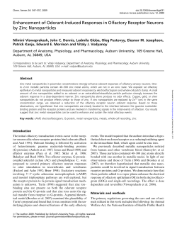 Enhancement of Odorant-Induced Responses in Olfactory Receptor