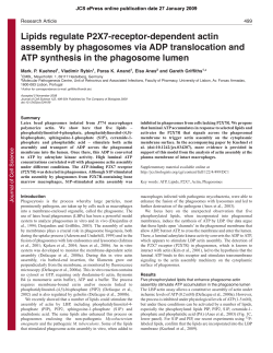 Lipids regulate P2X7-receptor-dependent actin assembly by