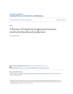 A Review of natural and engineered enzymes involved in bioethanol